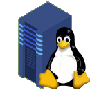 Server mit Linux